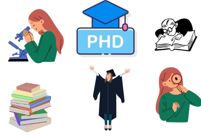 PhD All Programs